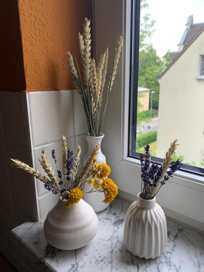 Rabennest: Cozy Near Rabenstein Clinic Apartment Chemnitz